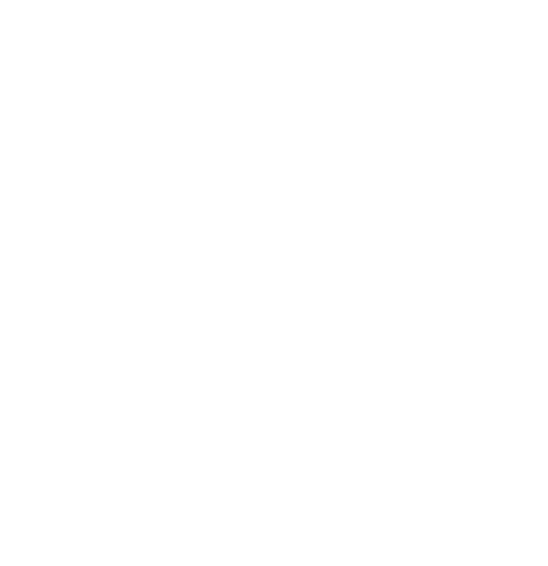 Badge reading 'Mindful process, daring execution'